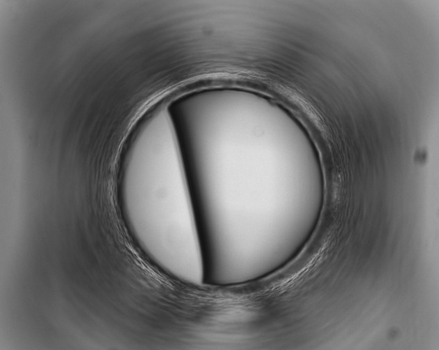 X0000101150829200806270758