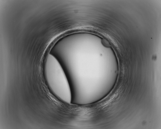 X0000101150830200806270758