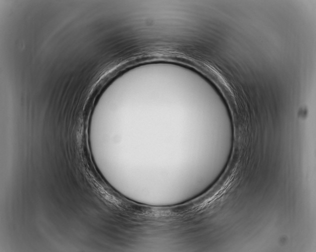 X0000101150831200806270758