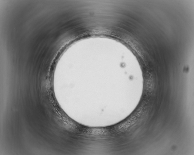 X0000101150832200806270758