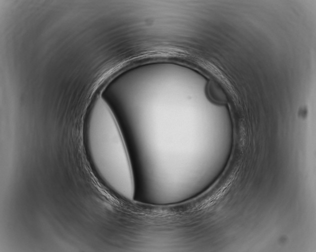 X0000101150834200806270758