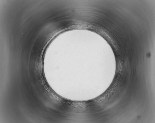 X0000101150836200806270758