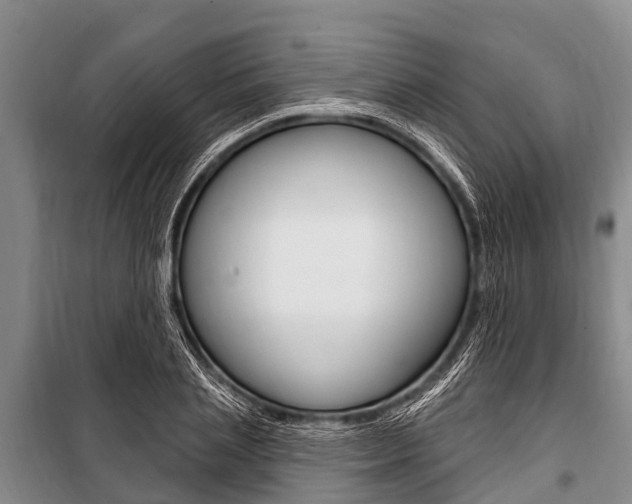 X0000101150837200806270758