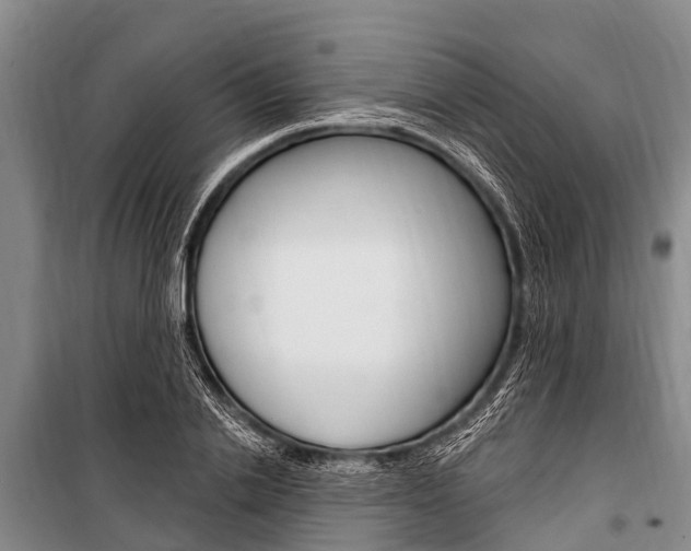 X0000101150838200806270758