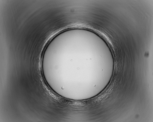 X0000101150839200806270758