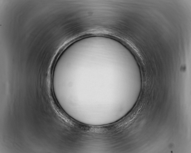 X0000101150840200806270758