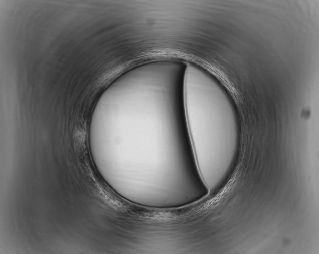 X0000101150841200806270758