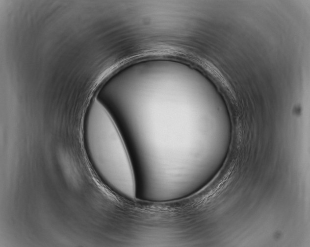 X0000101150842200806270758