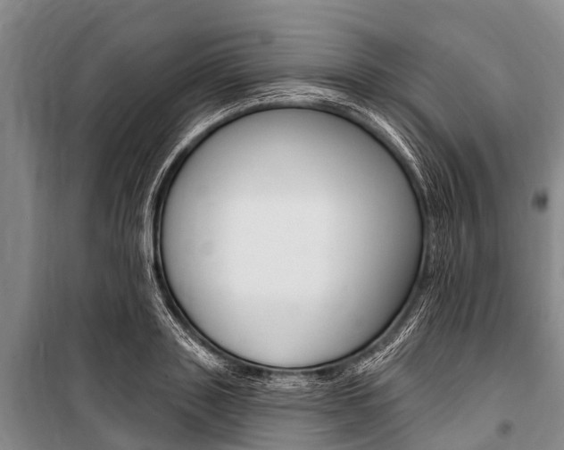 X0000101150843200806270758
