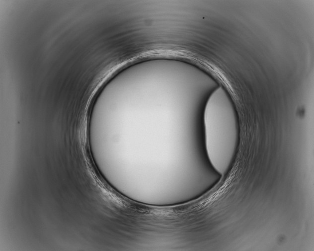 X0000101150844200806270758