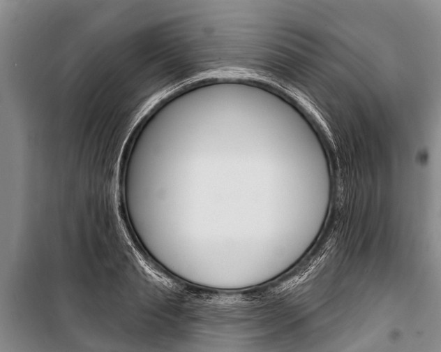 X0000101150845200806270758