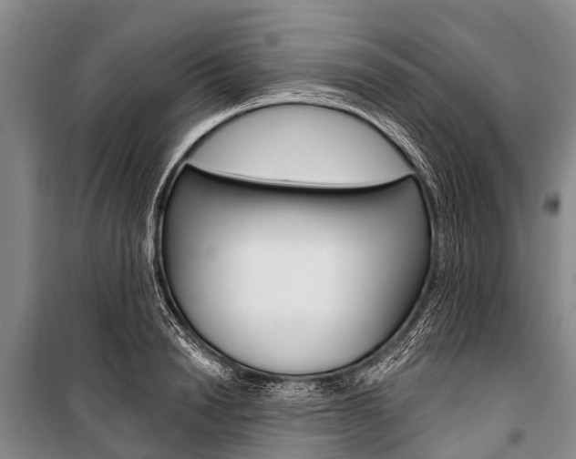 X0000101150846200806270758