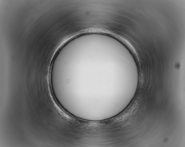 X0000101150847200806270758