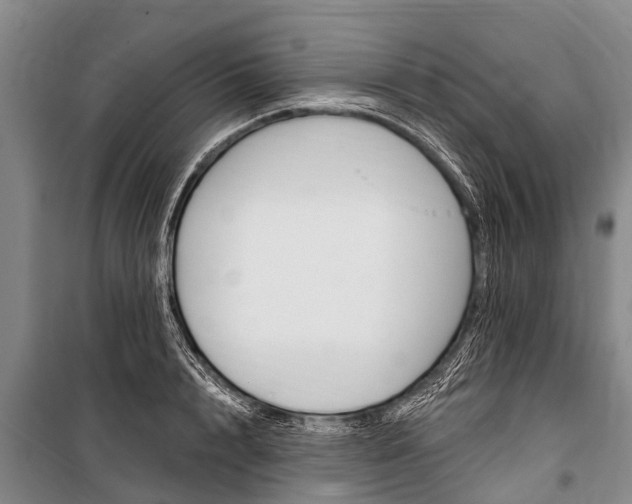 X0000101150848200806270758