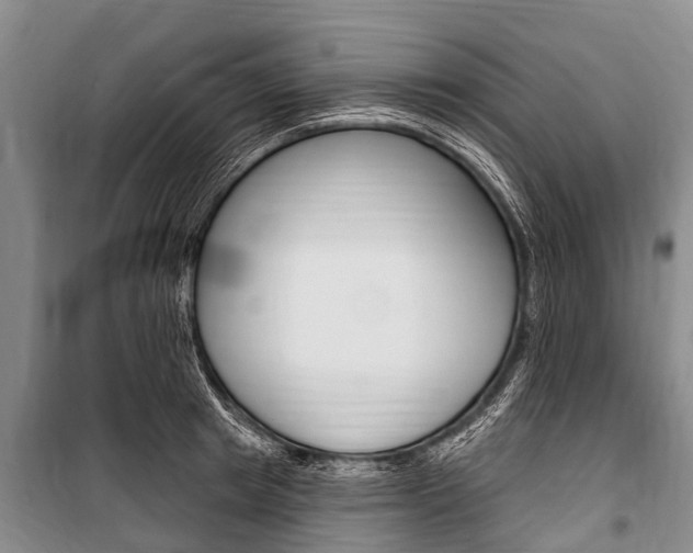 X0000101150849200806270758