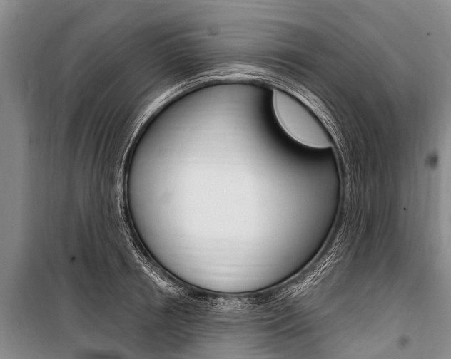 X0000101150850200806270758
