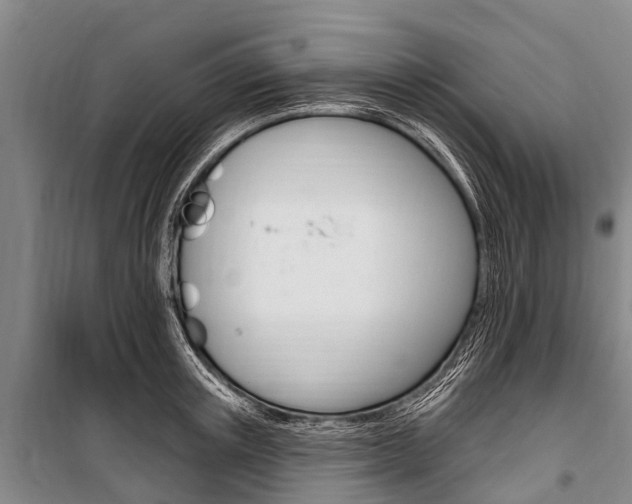 X0000101150851200806270758