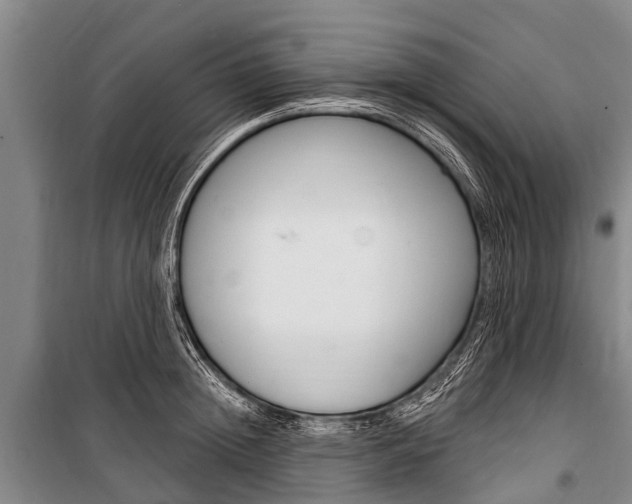 X0000101150852200806270758