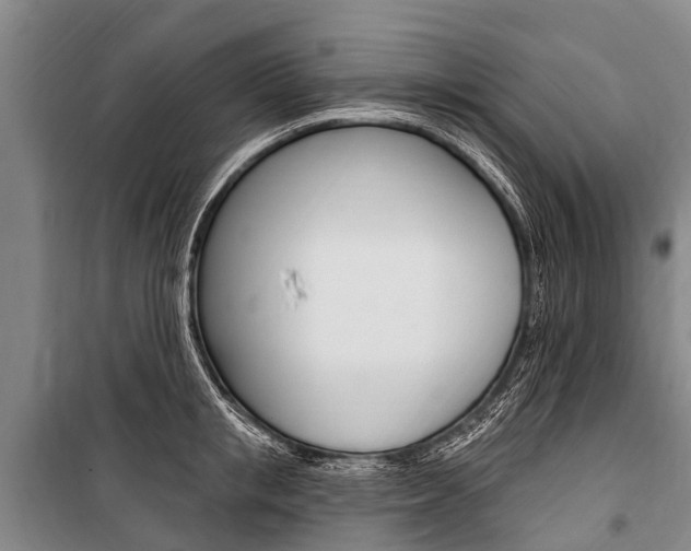 X0000101150853200806270758