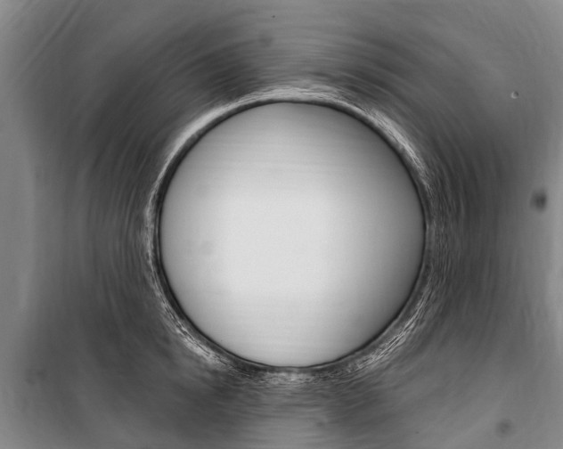 X0000101150854200806270758
