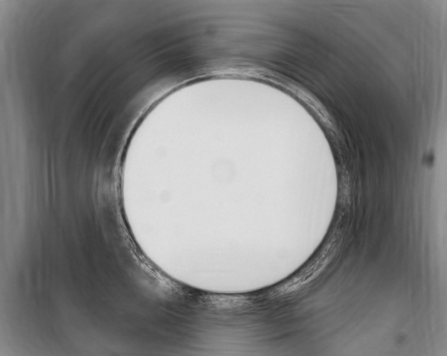 X0000101150856200806270758