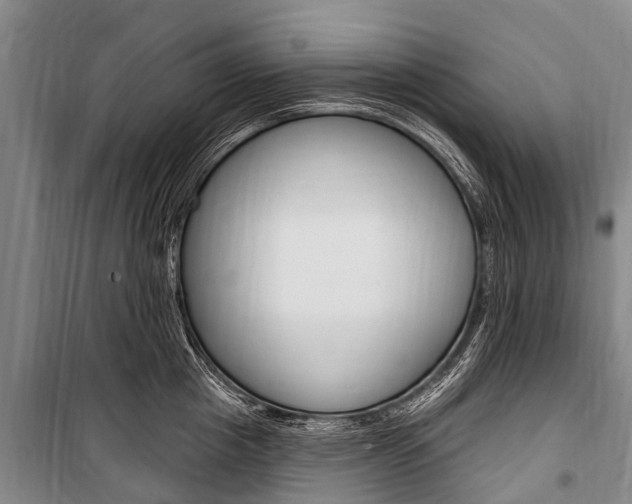 X0000101150857200806270758