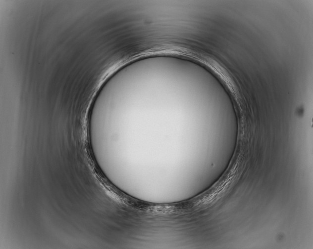 X0000101150858200806270758