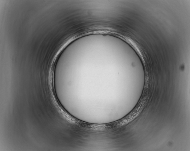 X0000101150859200806270758