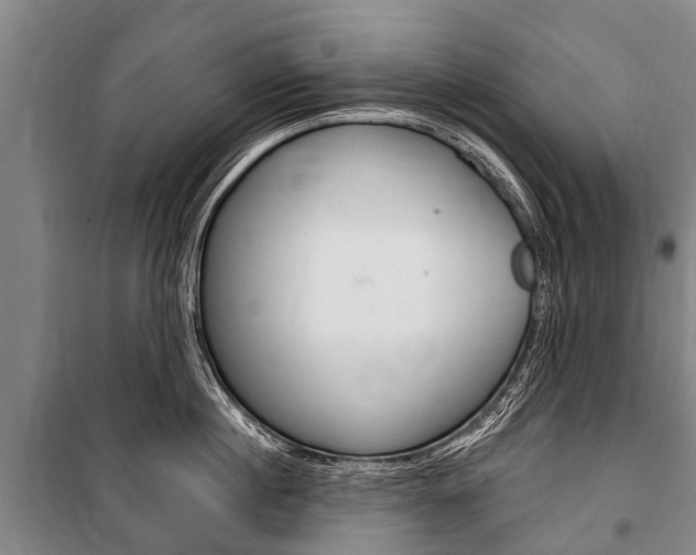 X0000101150860200806270758