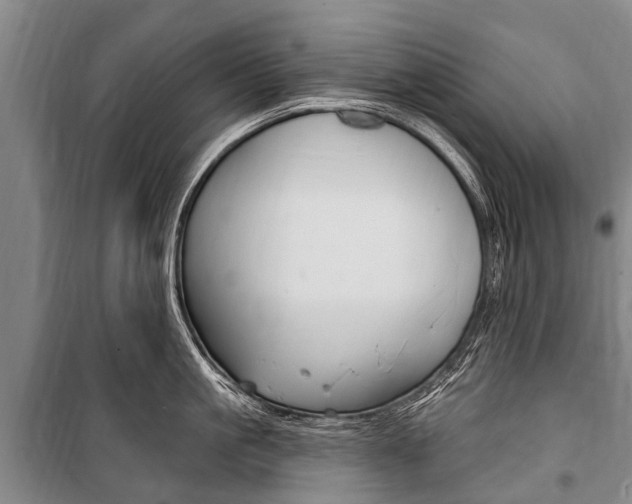 X0000101150861200806270758