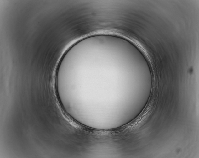 X0000101150862200806270758