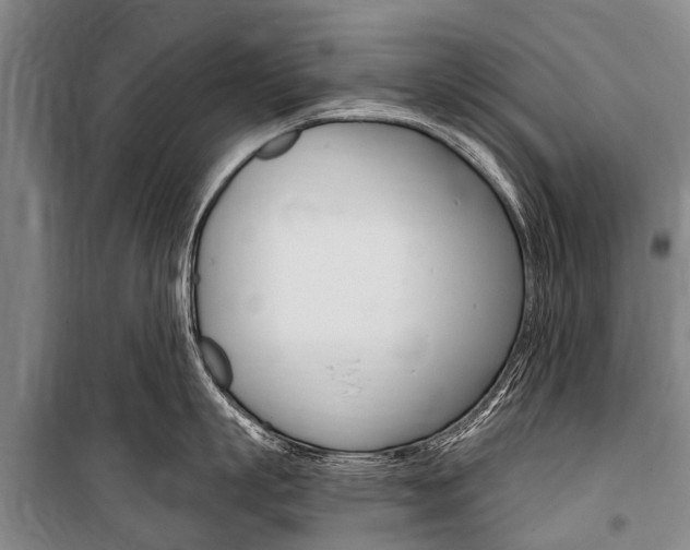 X0000101150863200806270758