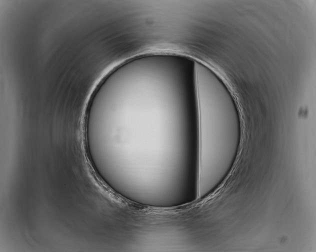 X0000101150864200806270758
