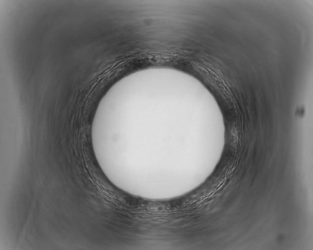 X0000101150865200806270757