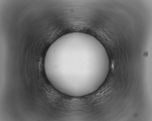 X0000101150867200806270757