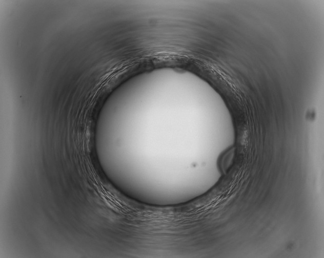 X0000101150868200806270757