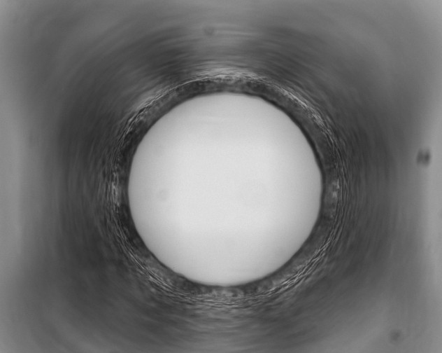 X0000101150869200806270757