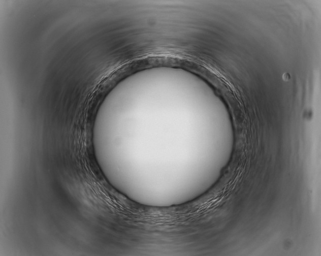 X0000101150870200806270757