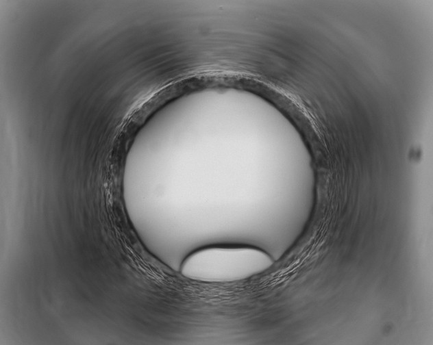 X0000101150871200806270757