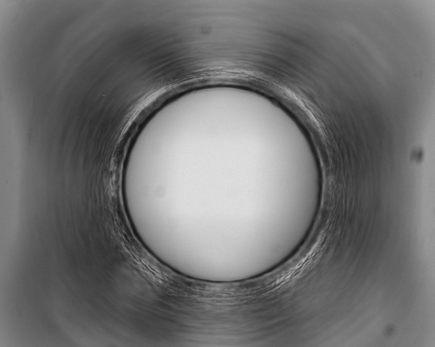 X0000101150875200806270757
