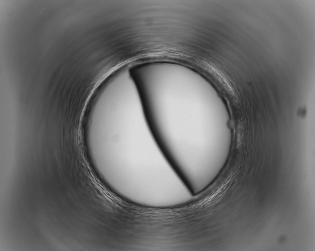 X0000101150876200806270757