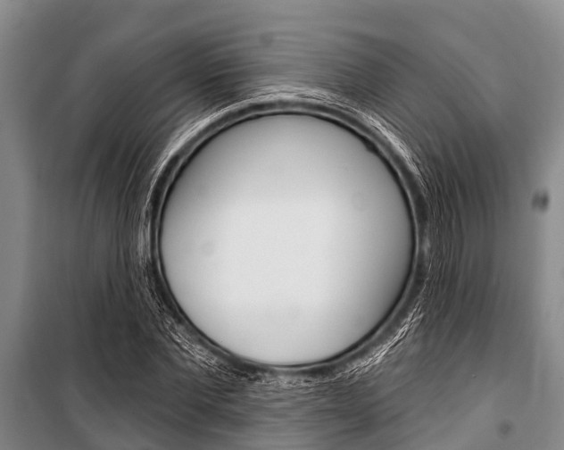 X0000101150877200806270757