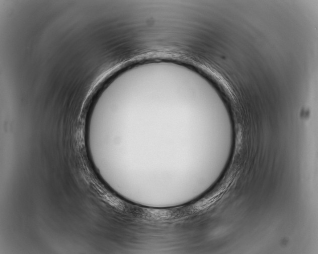 X0000101150878200806270757