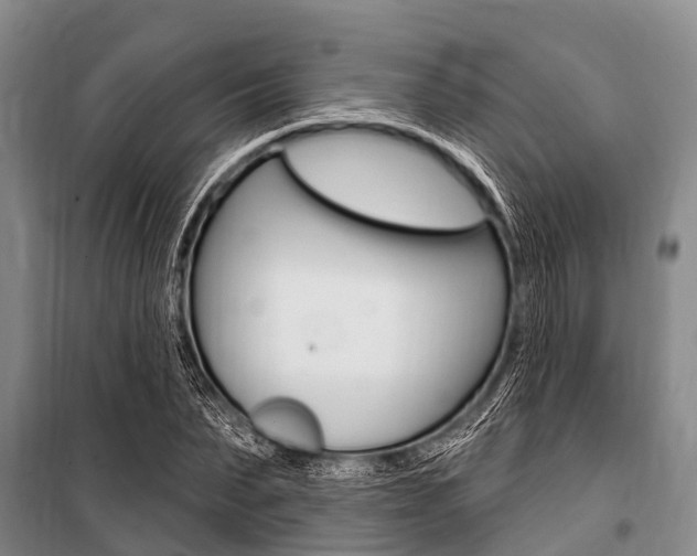 X0000101150879200806270757