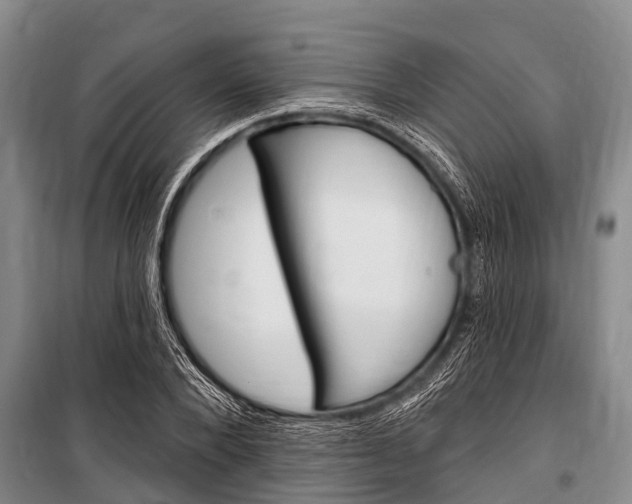 X0000101150880200806270757