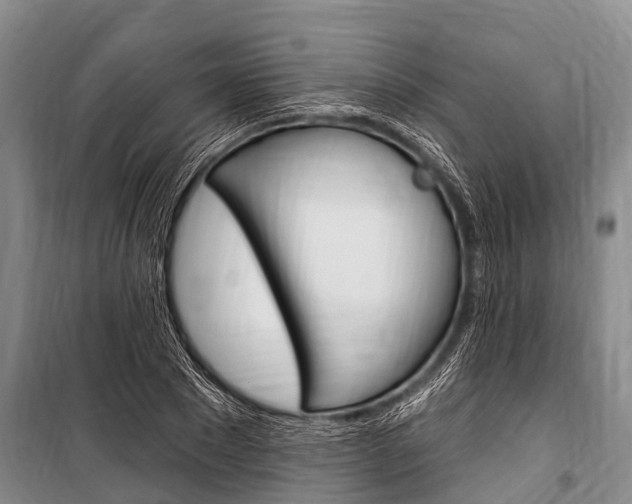 X0000101150881200806270757
