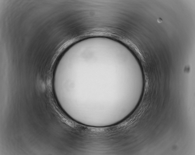 X0000101150882200806270757