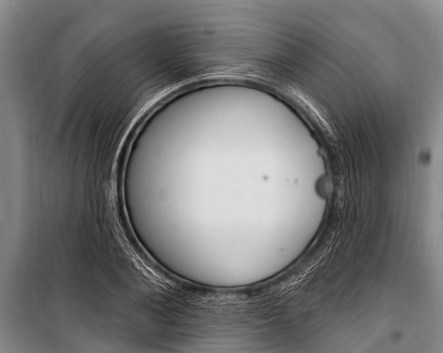 X0000101150884200806270757