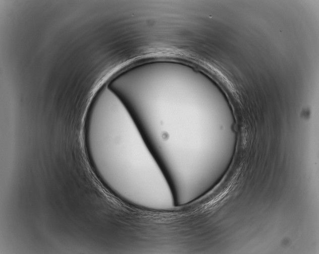 X0000101150885200806270757