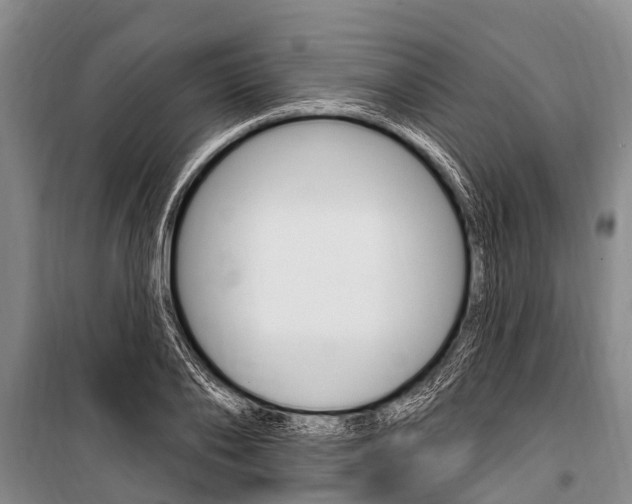 X0000101150886200806270757
